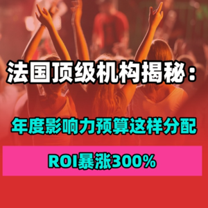 法国顶级机构揭秘：年度影响力预算这样分配，ROI暴涨300% | 跨境趋势谈069