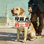 你作为拉布拉多导盲犬，如何度过短暂但温暖的一生？#助眠 #助眠故事 #睡前故事