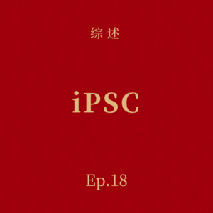 Ep.18 从诺奖到病床:iPSC,正在重写人类对抗疾病的底层代码