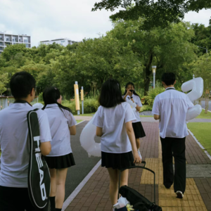 凤凰花开时，声音穿越了时光