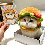 一不留神感动你