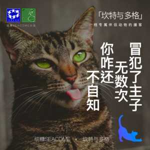 004期｜冒犯了主子无数次，你咋还不自知