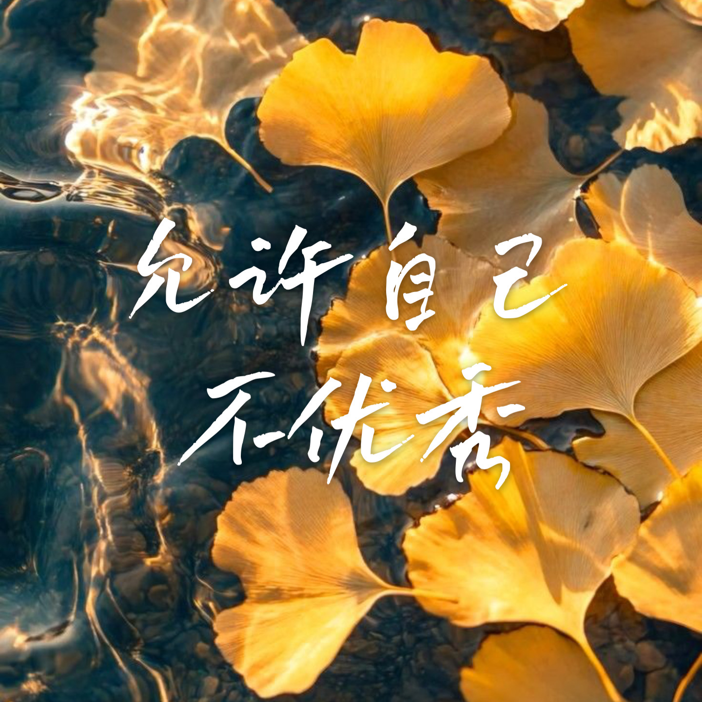 09 当我不再做优绩主义的囚徒 | 女性自我接纳指南 episode artwork