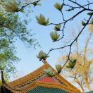 塗曦