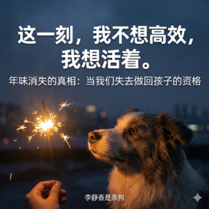年味消失的秘密：当我们失去做回孩子的资格！