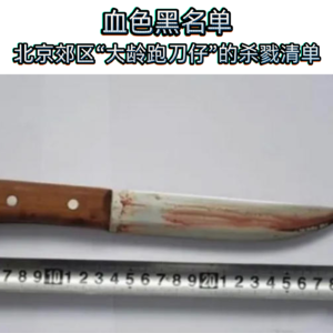 147.血色黑名单：北京郊区“大龄跑刀仔”的杀戮清单