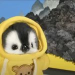 不是说今晚就出发