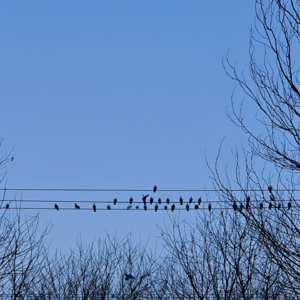 Ep.02 可乐:同为女性,我希望不要用年龄去束缚彼此