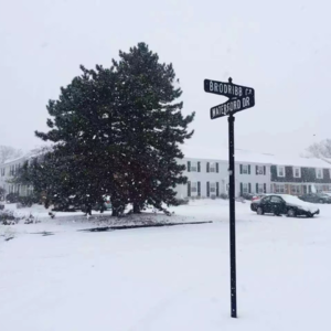 EP19 | 读《东京八平米》想到这些年租过的房