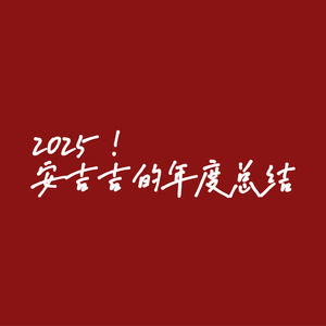 安吉吉的2025年度总结