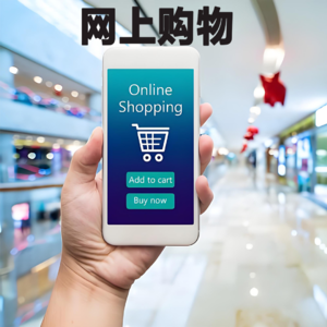6分钟中文 网上购物 Online shopping