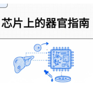 芯片上的器官指南