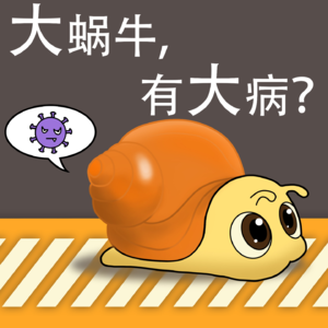 Vol.84 大蜗牛，有大病？