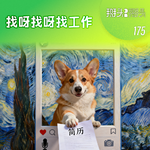 175：找呀找呀找工作
