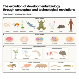 033-The evolution of developmental biology