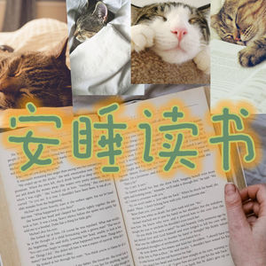 安睡读书