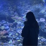 mar是海的意思