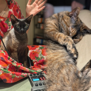 E72.【串台•真空世界】只爱ta，但不爱ta爸妈，行不行？