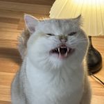 渴了会喝很多水