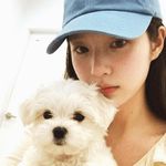 早点睡觉不然会死掉