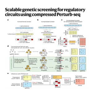 276-Compressed Perturb-seq for Genetic Screens