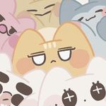 momo_diary