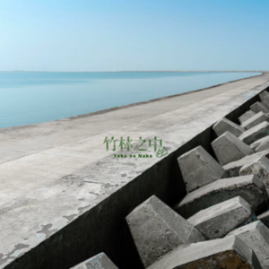 海堤上的命案：头颅和婴儿