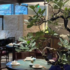 马旺子成都探新店