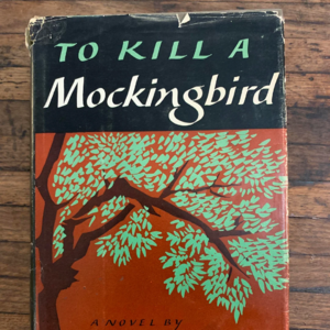 《杀死一只知更鸟》(下)：枪声之后的良知重建