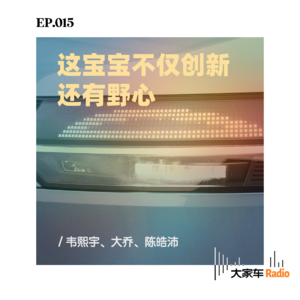 EP.015 这宝宝不仅创新,还有野心