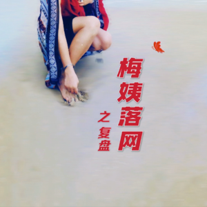 关于“梅姨”这个人（本期彩蛋：客家人）｜红途呓㖨