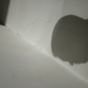 Lonely God+第八层地狱（惘闻”十万个为什么“巡演现场版）