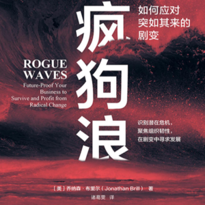 006《疯狗浪》：被CEO们疯抢的危机管理课