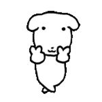 鸭力鸭力