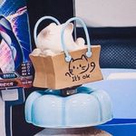 橙叭