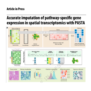 363-PASTA: Accurate PAthway-oriented Spatial gene imputation