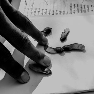 思想游牧 Nomadic Minds