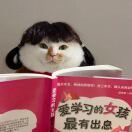 小玉兔和大月亮