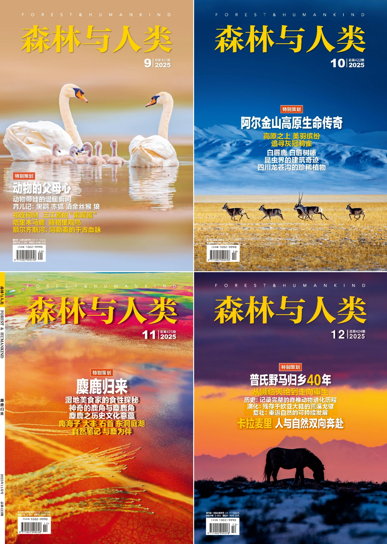 森林与人类 2025全年共12本 PDF