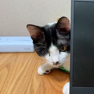 podcaster-avatar