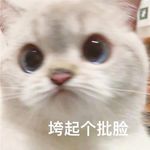 椰椰咖咖