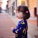 拖拉板儿