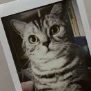 Ins_Go_8
