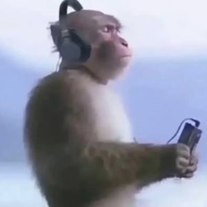 podcaster-avatar