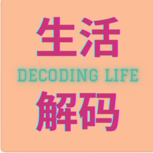 玫瑰不在花瓶中盛放:“叛逆”中年的地下根系与自在哲学