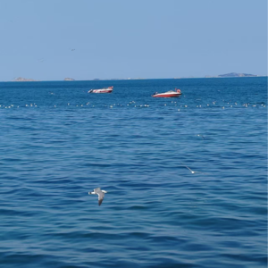 第90期：在婚姻中看男女思维差异