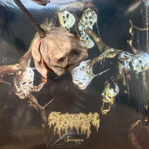 238 地球是一个洞穴