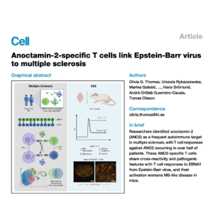 456-EBV Cross-Reactivity of Multiple Sclerosis