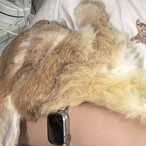很多花里胡哨的道理本质是很简单的事 📅 26.Oct.4