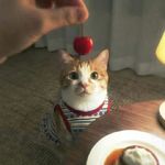 小琪不无聊